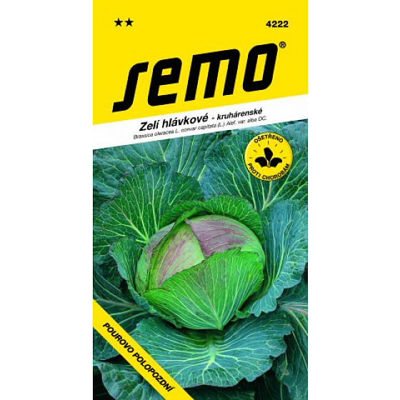 Semo-Rundkopfkohl Semi-Late 0,8 g gießen