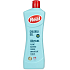 DUNKELREALES Chlorax-Gel 650g