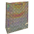 Nekupto Geschenkpapier Tasche Hologramm 33 x 46 cm Silber Standard
