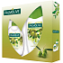 Palmolive Olive 250 ml Duschgel + 300 ml Flüssigseife, Kosmetikset