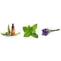 Kneipp Cooling ätherisches Öl aus Minze und Eukalyptus Duschgel 200 ml