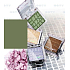 Miss Sports Fabulous Lidschatten 114 2,5 g