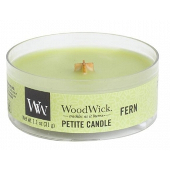 WoodWick Fern - Farnduftkerze mit kleinem Holzdocht 31 g