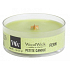 WoodWick Fern - Farnduftkerze mit kleinem Holzdocht 31 g