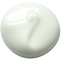 Payot Pate Grise Jour mattierende, nicht fettende Reinigungsgel 50 ml