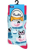Albi Bunte Socken Universalgröße Bulldogs 1 Paar