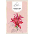 Bohemia Gifts Aromatisch duftende Karte Rote Blumen zarter und reiner Duft 10,5 x 16 cm