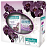 Palmolive Black Orchid Duschgel 250 ml + feste Seife 90 g, Kosmetikset