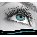 Miss Sports Lash Millionaire Chic Mascara für volumenintensives Schwarz 8 ml
