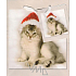 Nekupto Geschenk Papiertüte 14 x 11 x 6,5 cm Katzenmütze 1 Stück 402 02 BS