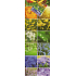 Nekupto Geschenk Papiertüte für eine Flasche 33 x 10 x 9 cm Verschiedene Blumen 1145 50 KFLH