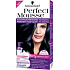 Perfect Mousse Permanent Color Haarfarbe 210 Ice black