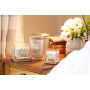 Yankee Candle Citrus Grove - Citrus Grove Soja-Duftkerze Elevation Medium Glas 3 Dochte 347 g