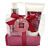 Salsa Collection Spicy Ginger Duschgel 260 ml + Körperlotion 150 ml, zweiteiliges Geschenkset