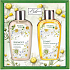Bohemia Gifts Kamille Creme Duschgel 250 ml + sanftes Haarshampoo 250 ml, Kosmetikset für Frauen