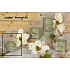 Lima Wellness Present Kiefernwald Aroma Kerze grüne Kugel 80 mm 1 Stück