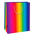 Ditipo Geschenk Papiertüte 26 x 32,5 x 13,8 cm Regenbogen