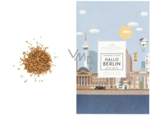 Castelbel Hallo Berlin - Porridge, Honig- und Malzdufttütchen 3 g