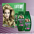 Schauma Push-Up Haarshampoo für größeres Volumen, Balsam 200 ml, Kosmetikset
