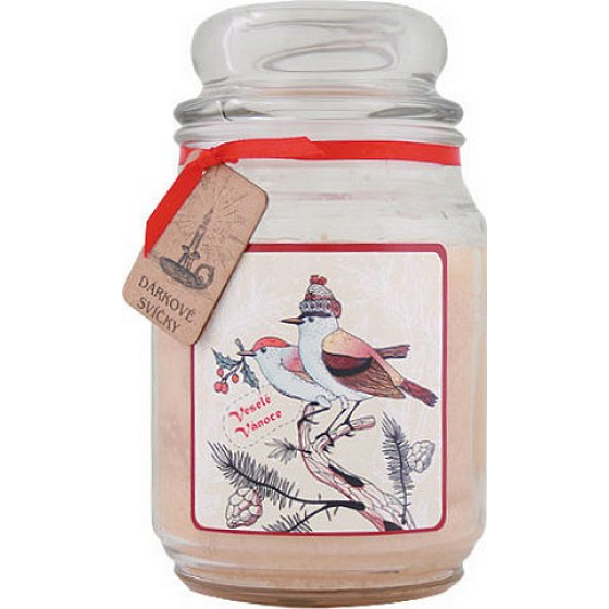 Böhmen Geschenke Frohe Weihnachten Geschenk Duftkerze in Glas Brennzeit 105-120 Stunden 510 g
