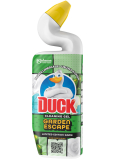 Duck Cleaning Gel Dazzling Petals WC flüssiger Reiniger, 750 ml
