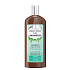 Biotter GlySkinCare Bio Hanföl-Shampoo für fettiges Haar 250 ml