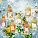 Guerlain Aqua Allegoria Orange Soleia Eau de Toilette für Frauen 75 ml