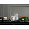 WoodWick Magnolia Birch - Magnolie und Birke Duftkerze mit Holzdocht und Deckel Glas mittel 275 g