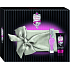 Christina Aguilera Geheimtrank Eau de Parfum für Frauen 30 ml + Körperlotion 50 ml + Handtasche, Geschenkset