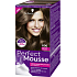 Schwarzkopf Perfect Mousse Permanentschaum Haarfarbe 600 Hellbraun