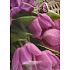 Nekupto Geschenk Papiertüte 32,5 x 26 x 13 cm Tulpen 1305 40 KFL