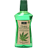 Xoc Hemp Mouthwash Mundspülung mit Hanfextrakt 500 ml