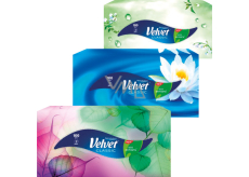 Velvet Classic 2-lagige Papiertaschentücher, 100 St.