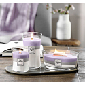 WoodWick Trilogy Amethyst Sky - Amethyst Sky Duftkerze mit Holzdocht und Deckel Glasschiffchen 453 g