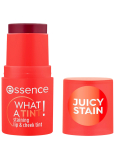 Essence What a Tint! Lippen- und Wangenstift 20 Grapefruit Bliss 5 g