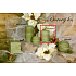 Lima Wellness Kiefernwald Aroma Kerzenzylinder 60 x 90 mm 1 Stück