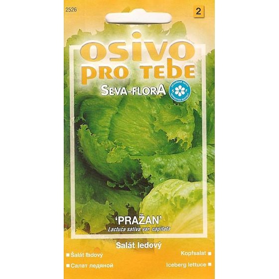 Eisbergsalat Seva - Flora Prag 0,5 g