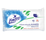 Linteo Badezimmer Feuchttücher 40 Stück, 180 x 200 mm