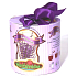 Albi Mini Garten Lavendel Roller Geschenkverpackungsset für den Anbau von Kräutern
