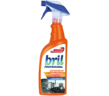 Bril Profesional Universal Entfetter 750 ml Sprühgerät