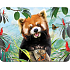 Prime3D Magnet - Panda Rot 9 x 7 cm
