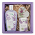 Bohemia Gifts Lavendelcreme Duschgel 250 ml + Seife 100 g + Holzherz verschiedene Motive, Kosmetikset
