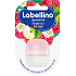 Labello Labellino Himbeer & Roter Apfel Pflege Lippenbalsam 7 g