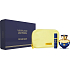 Versace Dylan Blue pour Femme Parfümwasser für Frauen 100 ml + Parfümwasser 10 ml + Etui, Geschenkset