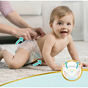 Pampers Premium Care Größe 6, 15+ kg Höschenwindeln 31 Stück