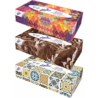 Linteo 2-lagige Papiertaschentücher, Box 100 Stück