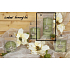 Lima Wellness Present Kieferwald Aroma-Kerze grün Zylinder 70 x 150 mm 1 Stück