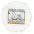 Yankee Candle White Gardenia - Weißes Gardenia-Duftwachs für Aromalampe 22 g