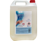 Valea Hygienischer antimikrobieller Reiniger Desinfektion für Hände 5 l