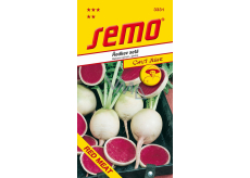 Rotes Fleisch Radieschensamen 3,5 g